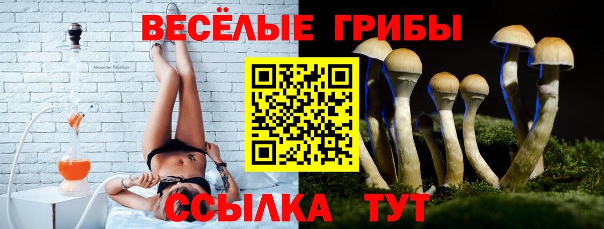 Галлюциногенные грибы ЛСД Волжск